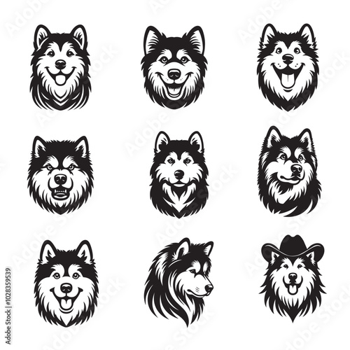 Collection of Alaskan Malamute Dog Face vector illustration - Alaskan Malamute Dog Logo Design 

