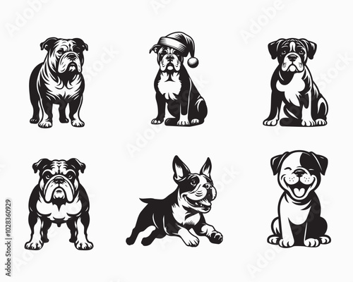 Collection of American Bulldog Dog vector illustration - American Bulldog Dog Clipart Design
