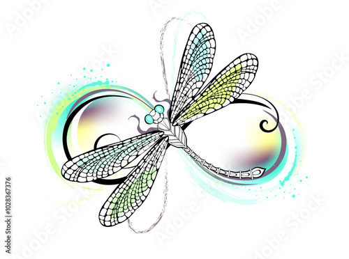 Infinity with elegant dragonfly