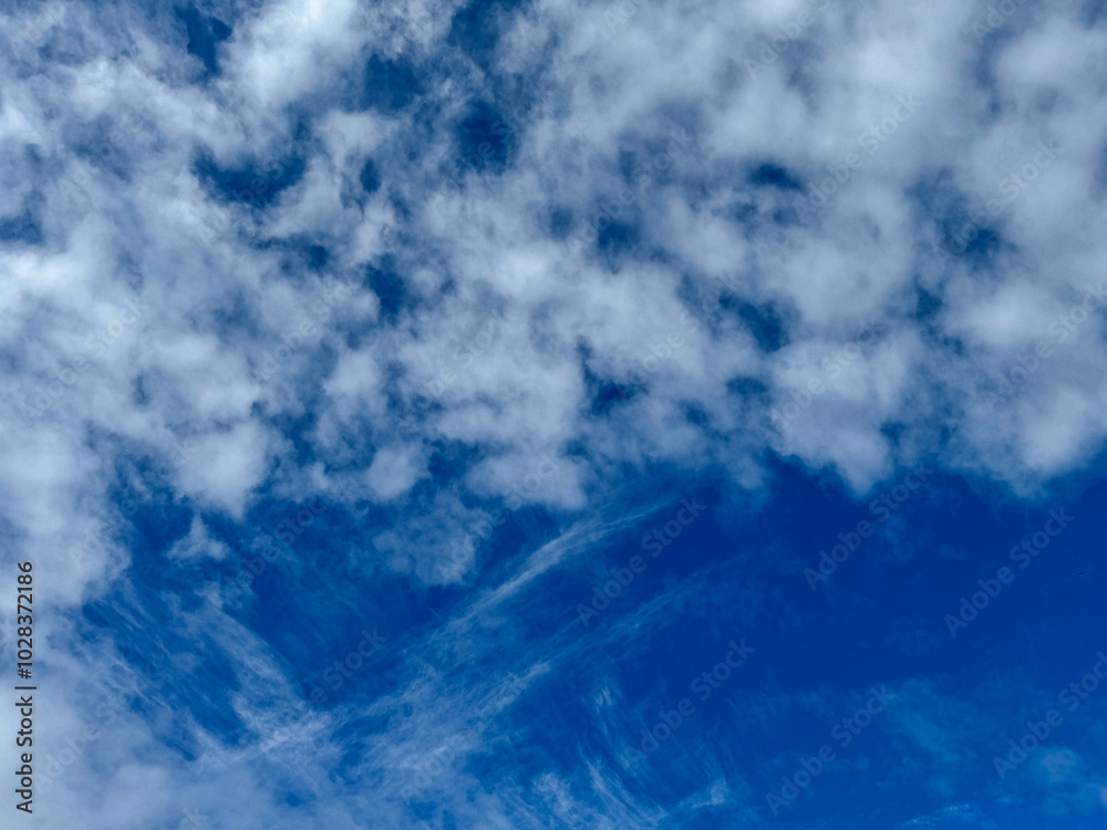 Naklejka premium 青い空