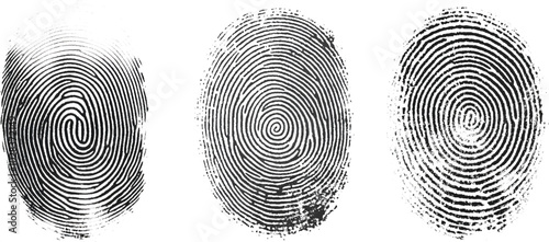 Vector black fingerprint on white Transparent  background.