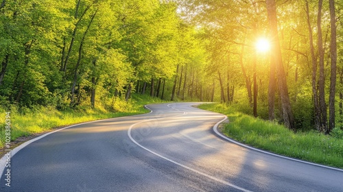 Serene Winding Road Through Lush Green Forest