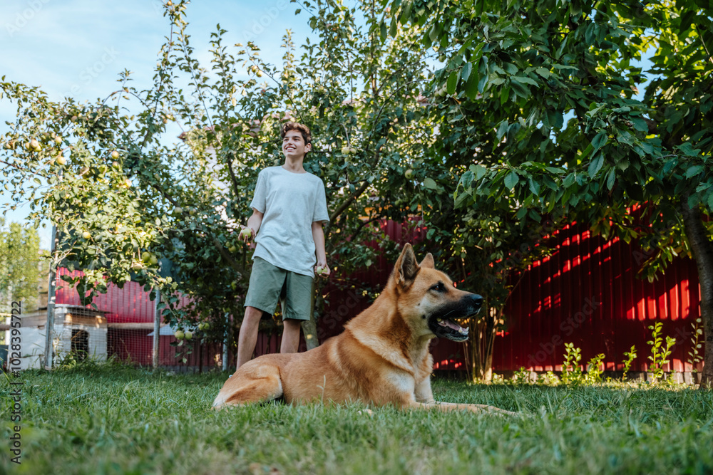 Boy and dog spending leisure time in back yard Boy and dog spending leisure time in back yard