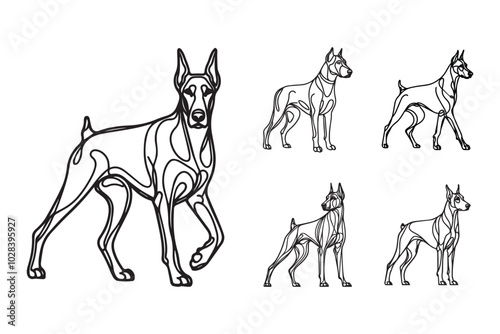 Line Art Fierce Doberman Dog Stand Pose Art Black and White Illustration Hand Drawn Clipart