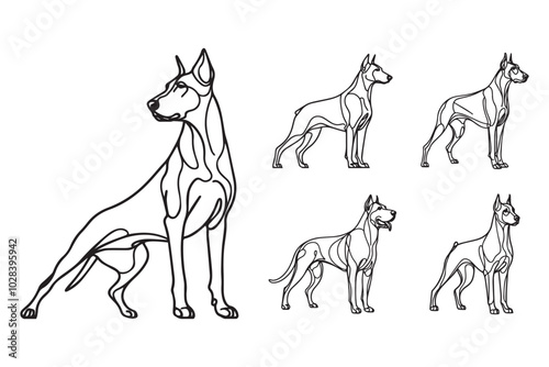 Black and white illustration of a powerful Doberman in a standing position