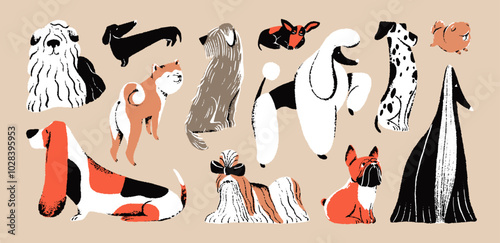 Different dogs set. Funny doggies: bulldog, akita, dalmatian, spitz, afghan hound. Cute puppies of poodle, dachshund sit, sleep. Canine breeds, purebred pets. Flat isolated drawing vector illustration