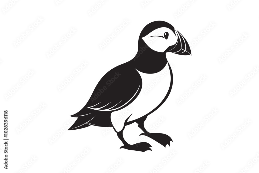 Puffin bird silhouette vector illustration, Puffin silhouette vector Puffin bird silhouette vector illustration, Puffin silhouette vector