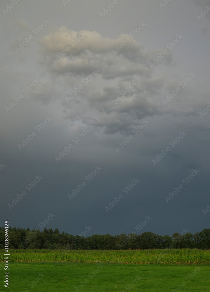Storm clouds over green agricultural field