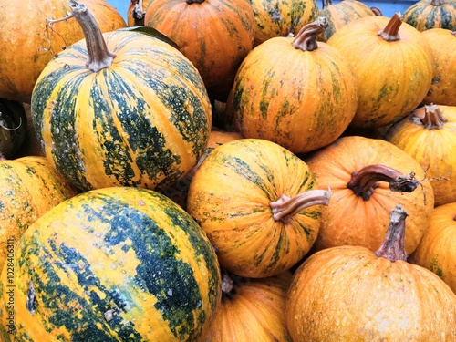 Pumpkins and greenery lie on the road for Halloween