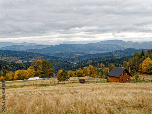 A wooden cabin sits on a grassy hill overlooking a valley. The valley is filled with rolling hills covered in lush green forests. A blue sky with fluffy white clouds can be seen in the distance.