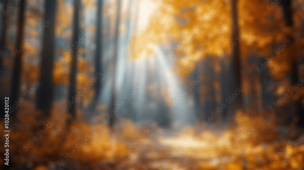 Obraz premium A cozy autumn forest with sunlight filtering through trees in a blurred background during a call