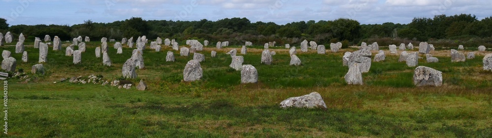 Many scattered dolmens on a meadow against a wooded background in Carnac, probably around 7000 years old, they were set up for religious or calendar reasons. Many scattered dolmens on a meadow against a wooded background in Carnac, probably around 7000 years old, they were set up for religious or calendar reasons.