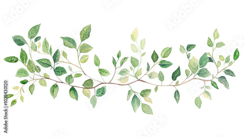 Wallpaper Mural Beautiful Floral Watercolor Design for Home Decor and Invitations Torontodigital.ca