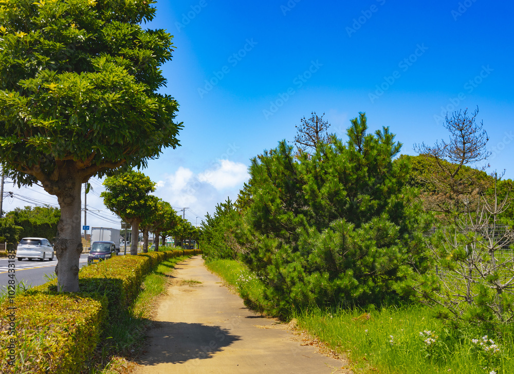 鹿島灘海公園 鹿島灘海公園