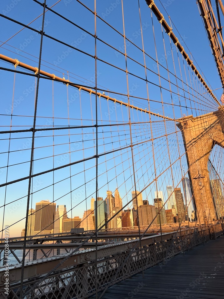 Fototapeta premium Brooklyn Bridge