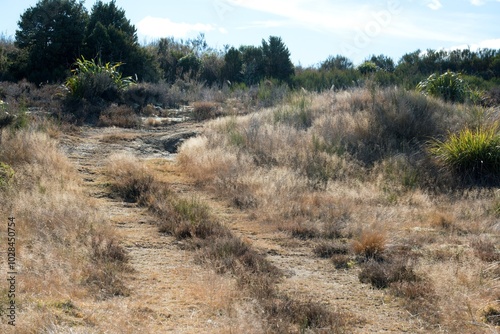 trail in the mountains