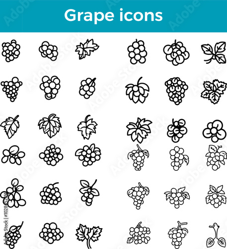 Grape icon fruit bunch vector vineyard wine organic fresh produce farm harvest nutrition symbol