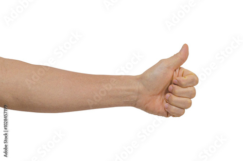 Wallpaper Mural Hand of client show thumb up isolated on transparent background. Service rating, satisfaction concept. Male hand showing thumb up Torontodigital.ca