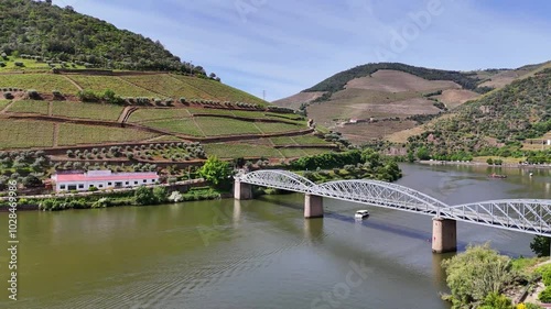 Aerial view of terraced Douro Vineyards on a sunny day, Douro, Vineyards, Portugal, Terraces, Summer