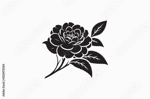 A Camellia Flower vector silhouette image Adobe illustrator..eps
