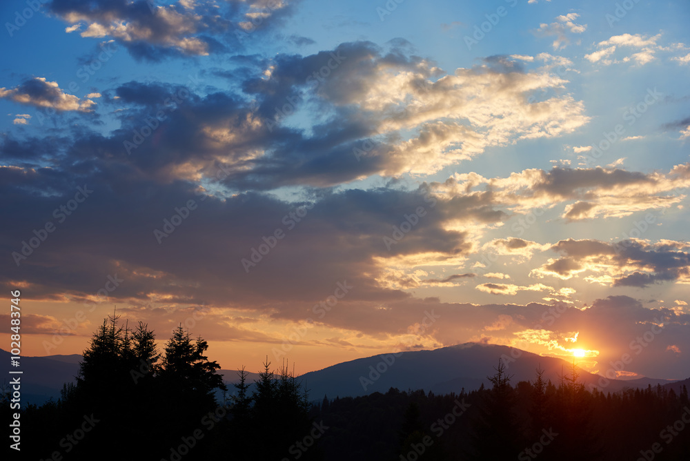 Fototapeta premium Serene evening sky with hues of blue and soft pink clouds as sun sets. Horizon glows gently, casting light over silhouetted pine trees and rolling hills, creating peaceful and expansive landscape.
