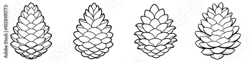 line art vector illustration collection of pine cone . isolate on a white background. SVG and PNG
