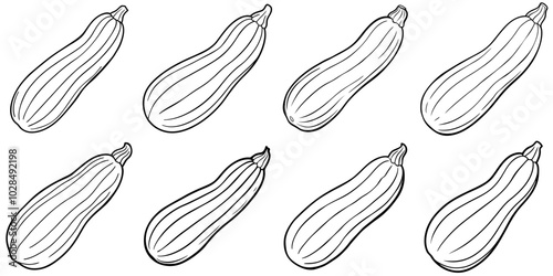line art vector illustration collection of zucchini . isolate on a white background. SVG and PNG
