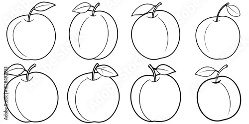 line art vector illustration collection of plum . isolate on a white background. SVG and PNG
