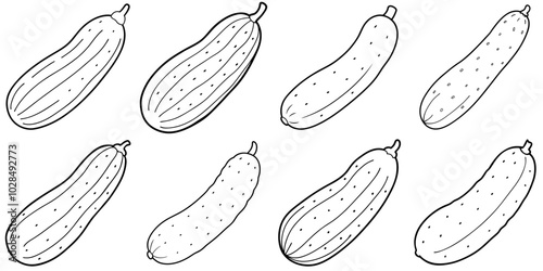 line art vector illustration collection of cucumber . isolate on a white background. SVG and PNG
