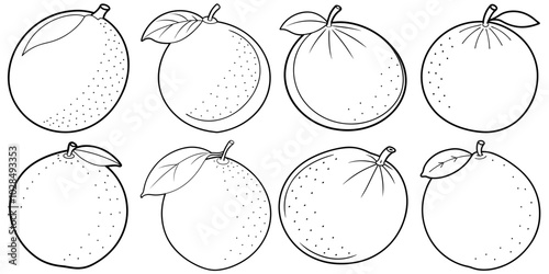 line art vector illustration collection of lime . isolate on a white background. SVG and PNG
