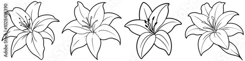 line art vector illustration collection of lily . isolate on a white background. SVG and PNG
