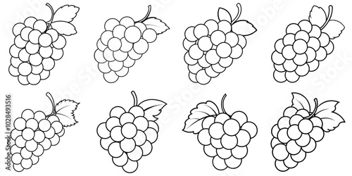 line art vector illustration collection of grapes . isolate on a white background. SVG and PNG
