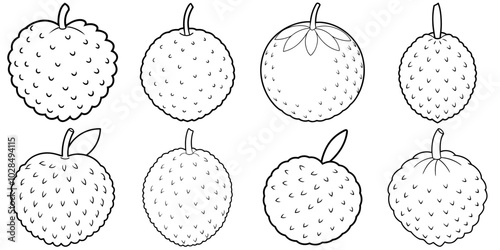 line art vector illustration collection of lychee . isolate on a white background. SVG and PNG
