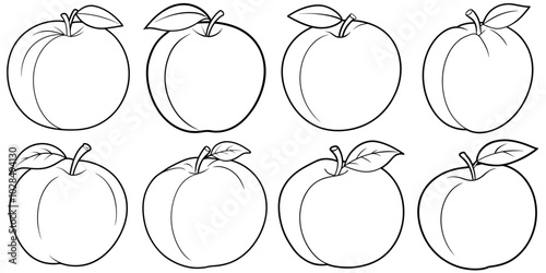 line art vector illustration collection of peach . isolate on a white background. SVG and PNG

