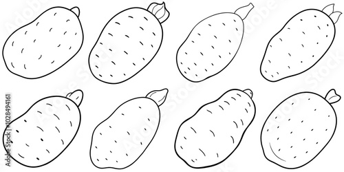 line art vector illustration collection of sweet potato . isolate on a white background. SVG and PNG
