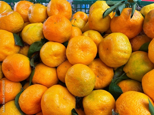 Beautiful fresh  organic tangerine patterned background, copy space in full frame viewed from above. Sunlight falling on juicy citrus fruit texture. Harvest. Vitamin food.