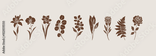 Flat vector botanical logotypes. Lily, orchid, daffodil, eucalyptus, apple blossom, spathiphyllum, protea, fern, rose illustration