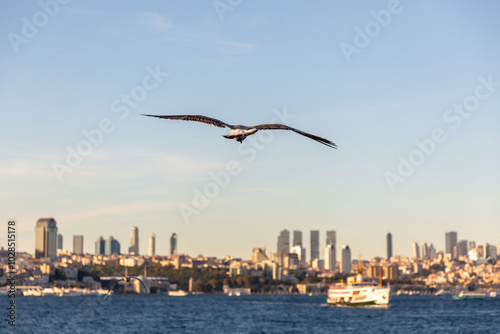 kyline view of Istanbul see...