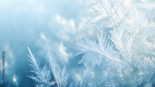 Close up of abstract frost pattern. detailed abstract winter background texture 
