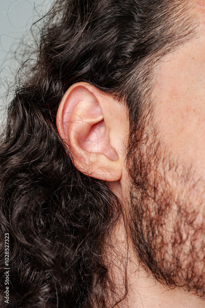 Fototapeta premium Profile view of a man with curly hair and a beard