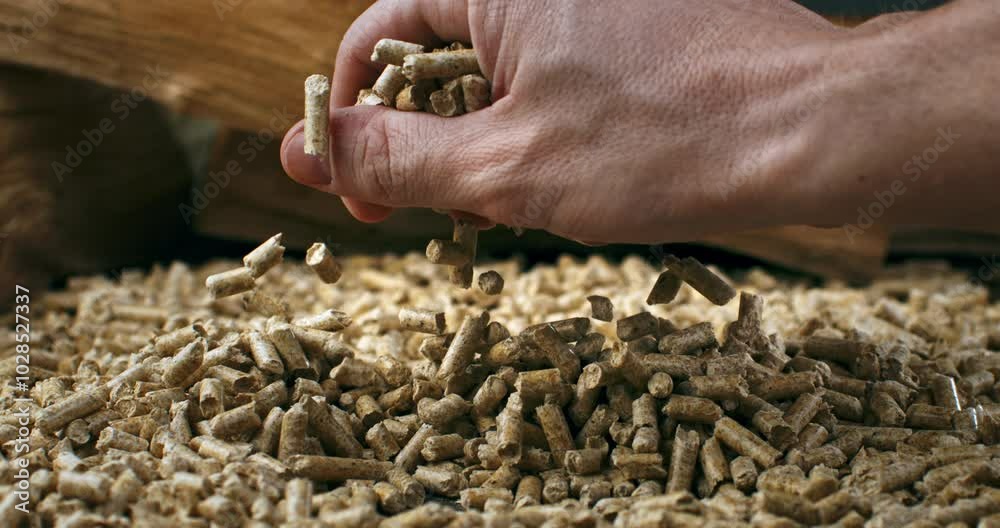 Super slow motion close up of renewable energy sources heating wood compressed pellets are touched with workers hand for quality control at 1000 fps. 