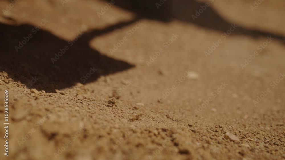 Shovel shadow over textured brown dirt under sunlight creating a rustic outdoor atmosphere Shovel shadow over textured brown dirt under sunlight creating a rustic outdoor atmosphere