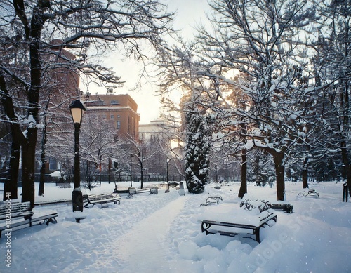 눈 내리는 공원의 풍경