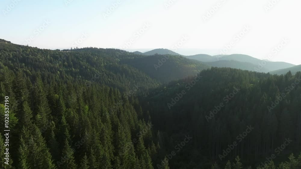 Lush green forested mountains stretch into the distance under a clear sky Lush green forested mountains stretch into the distance under a clear sky