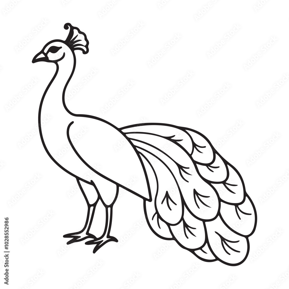 vector silhouette image of apeacock on a white background
vector silhouette image of apeacock on a white background