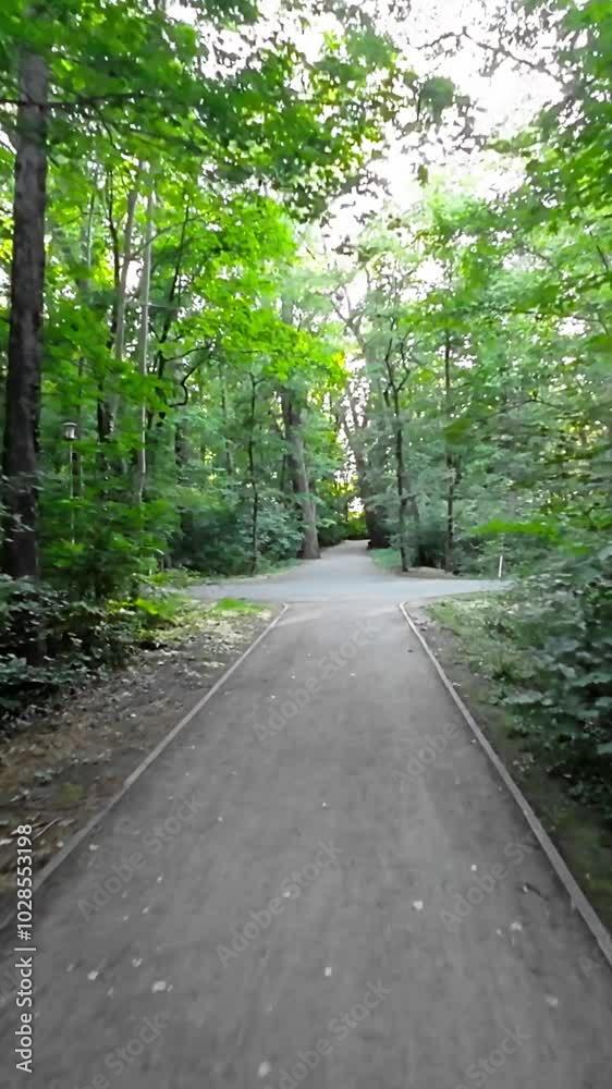 Immerse yourself in the tranquility of nature with this captivating video of a bike ride through a stunning park. The video takes you on a serene journey through lush greenery, where you can escape Immerse yourself in the tranquility of nature with this captivating video of a bike ride through a stunning park. The video takes you on a serene journey through lush greenery, where you can escape