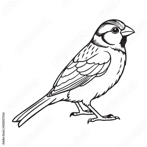 vector silhouette image of a sparrow on a white background
