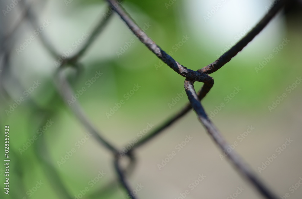 Wire fence nature out of city Wire fence nature out of city