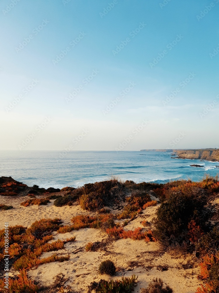 Stunning coastal landscape with sandy dunes and clear blue ocean. Stunning coastal landscape with sandy dunes and clear blue ocean.