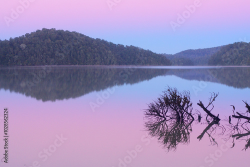 Morning by the lake